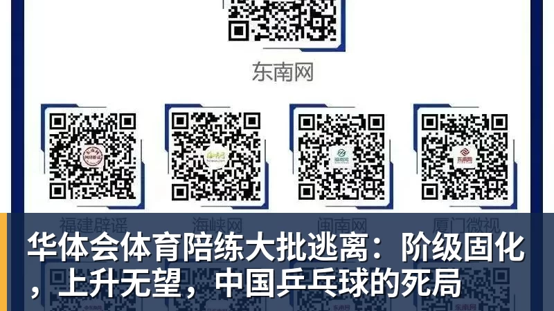 华体会体育陪练大批逃离:阶级固化,上升无望,中国乒乓球的死局