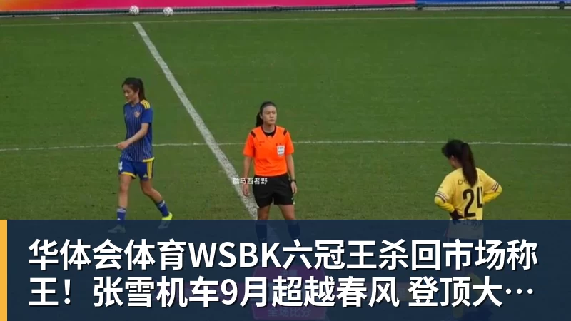 华体会体育WSBK六冠王杀回市场称王！张雪机车9月超越春风 登顶大排量摩托销冠